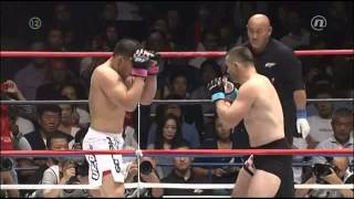 Mirko Cro Cop Filipović vs Satoshi Ishii 2014 [upl. by Rekoob887]