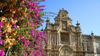 JEREZ CON EL REY  La alcaldesa de Jerez ha sido recibida hoy por Don Felipe en el Palacio de la … [upl. by Nonah]