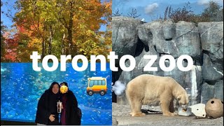 【vlog】トロント動物園🐻‍❄️🐟🦁に行ったのか、バス🚌を乗り間違えたのか分からなかった日 [upl. by Yssak677]