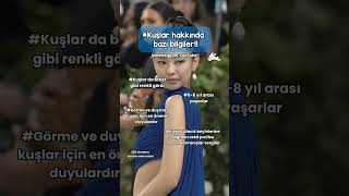 Tutsun krc keşfet keşfetbeniöneçıkar kpop kesfetolmus keşfetteyiz keşfetedüş keşfetküsmüyüz [upl. by Gratt208]