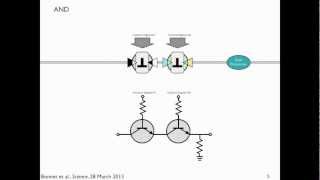 Transcriptors amp Boolean Integrase Logic BIL gates explained [upl. by Aklam]