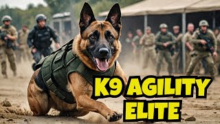 Belgian Malinois The Secret Weapon of Police amp Military Mind Blowing Skills  Malinois [upl. by Deerdre]