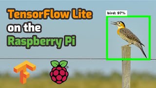 How To Run TensorFlow Lite on Raspberry Pi for Object Detection [upl. by Trevlac692]