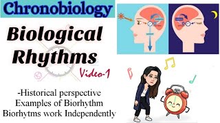 Part1ChronobiologyBiological RhythmsHistory Examples of Biorhythm Biorhytms work independently [upl. by Okimuy937]