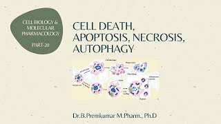 Cell death  Apoptosis Necrosis Autophagy  CBMP  Part20 [upl. by Akerdnahs]