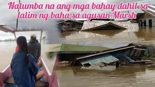 NATUMBA NA ANG MGA BAHAY DAHIL SA LALIM NG BAHA SA AGUSAN MARSH WALA NG MATIRAHAN SILA 💔😭 [upl. by Regine]