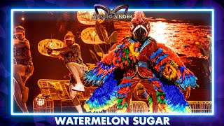 Papegaai  ‘Watermelon Sugar’  Aflevering 2  The Masked Singer  VTM [upl. by Hubbard]