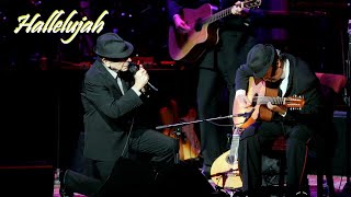 Leonard Cohen  Halleluja con traduzione testo in Italiano [upl. by Matty628]