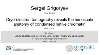 Sergei Grigoryev  Cryoelectron tomography reveals the nanoscale anatomy of condensed native chr [upl. by Etnomed]