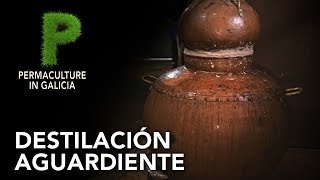 Destilación aguardiente gallego  4K Español  Permacultura en Galicia [upl. by Bergstein]