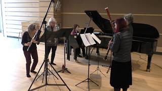 Heliand Consort – Telemann Quartet in G Major TWV 43G6 [upl. by Walford]