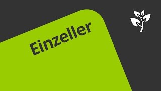 Einzeller Das Augentierchen Euglena  Biologie  Cytologie [upl. by Ahsimac]