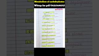 Metabolism of carbohydrates Glycogenesis Glycogenolysis gluconeogenesis notes 9131769071 biolog [upl. by Eleahcim825]