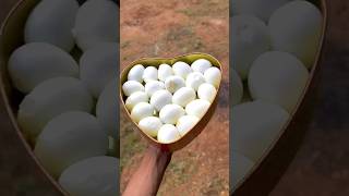 🌀🌀Heart ❤️ முட்ட கத்திரிக்கா😂 [upl. by Alat]