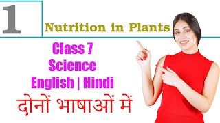 1  Nutrition in Plants Hindi Explained  Class 7 Science NCERT Textbook [upl. by Tnias]