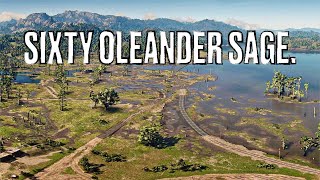 Red Dead Redemption II 60 Oleander Sage Locations [upl. by Becca230]