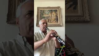 Gigue Mélodie A 12 lygeros music clarinet musicalinstrument viralshort ​⁠ [upl. by Haberman]