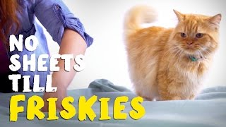 No Sheets Till Friskies® [upl. by Arabela]