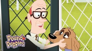 Pound Puppies  Old Dogs are Nothing But Work [upl. by Australia]