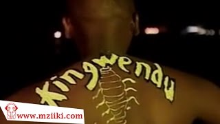 Kingwendu  Mapepe  Official Video [upl. by Segroeg]