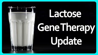 Am I still lactose tolerant  Lactose Gene Therapy Update [upl. by Novello]