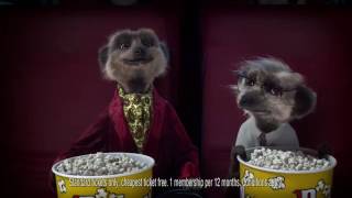 Compare the Meerkat  Advert 71 [upl. by Ardnatal895]