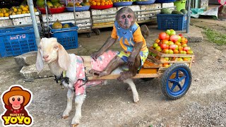 YoYo JR takes goats to harvest vegetables sell and help people around  Full version [upl. by Capp83]