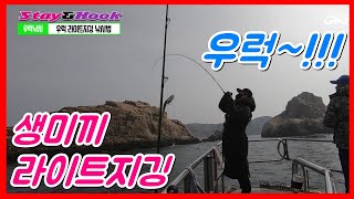 STAYampHOOK ep69 2월 서해 우럭생미끼낚시 사리물때 폭망일까 잘낚일까 그결과는 Feat홍원항 블랙펄호 Rockfish bait fishing [upl. by Hpsoj496]