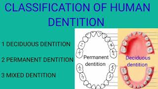 Classification of Human Dentition very easy [upl. by Dermot]