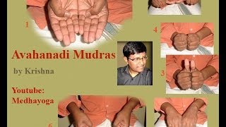 Sri Vidya Avahanadi Mudras By Krishna [upl. by Ranita787]