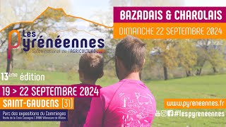 Les Pyrénéennes 2024  Ring 2  BazadaisCharolais  22092024 [upl. by Oiramed]