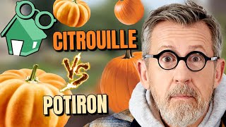 🎃 CITROUILLE VS POTIRON  quelles différences [upl. by Irrej]