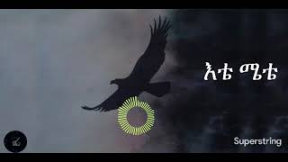 Teshome Miteku  Etemete with Lyrics እቴሜቴ [upl. by Emee687]