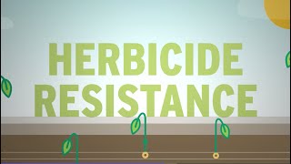 What is Herbicide Resistance [upl. by Enicnarf680]