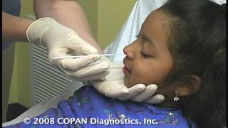 How to Collect Nasopharyngeal Samples for Flu Testing Using COPAN Flocked Swabs [upl. by Ical]