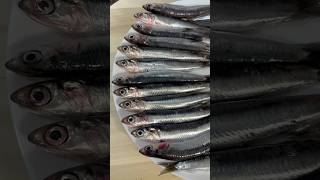 How to clean and make anchovy fillets quickly  Cleaning Fish 5minutecrafts seafood foodie [upl. by Cloots352]