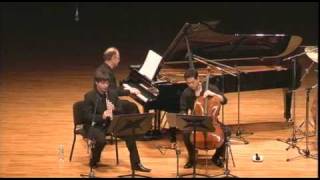 Revolucionario by Astor Piazzolla The Zinger Trio [upl. by Henden830]