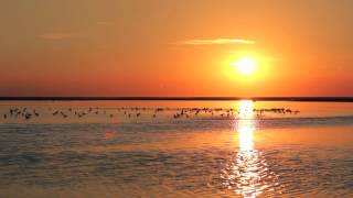 Coucher de soleil sur la Baie de Somme [upl. by Oicapot]