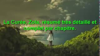 La Curée Émile Zola résumé très détaillé et complet par chapitre [upl. by Fernando]