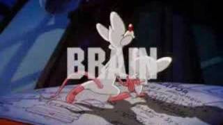 Pinky und der Brain Intro [upl. by Underwood]