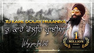 Tu Kahe Dolay Praniyaa  ਤੁ ਕਾਹੇ ਡੋਲਿਹ ਪ੍ਰਾਣੀਆ  Why You Feel Lost  Soothing Gurbani Kirtan  NKJ [upl. by Laersi763]