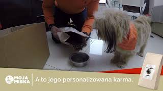 Moja Miska dla shih tzu  karma dla psa  MojaMiskapl [upl. by Oninrutas]