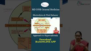 Approach to Hypercalcemia Shorts electrolytes generalmedicine hypercalcemia medicalstudent [upl. by Marco]