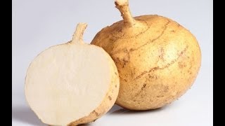 How to Prepare Jicama  Nutritionist Karen Roth  San Diego [upl. by Amoritta]