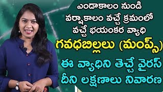 what is mumps  what are the symptoms and effects of mumps  health tips in telugu  mee doctor [upl. by Veradi]