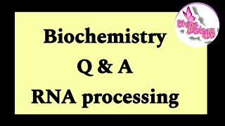 Mcq On RNA processing Biochemistry MCQ  biochemistrymcq [upl. by Asyla636]