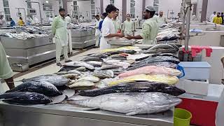 FISH MARKET IN RAS AL KHAIMAH hunting hunting fishing [upl. by Ecirpac]