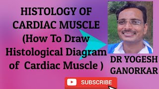 HISTOLOGY OF CARDIAC MUSCLE  HOW TO DRAW HISTOLOGICAL DIAGRAM OF CARDIAC MUSCLE [upl. by Ecinahc282]