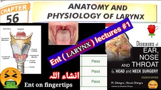 🔴anatomy and physiology of larynxENT LARYNX LECTURES 1 muscle cartilage membrane joints spaces [upl. by Sanger]