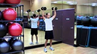 Reverse Overhead Dumbbell Laterals [upl. by Bowles127]